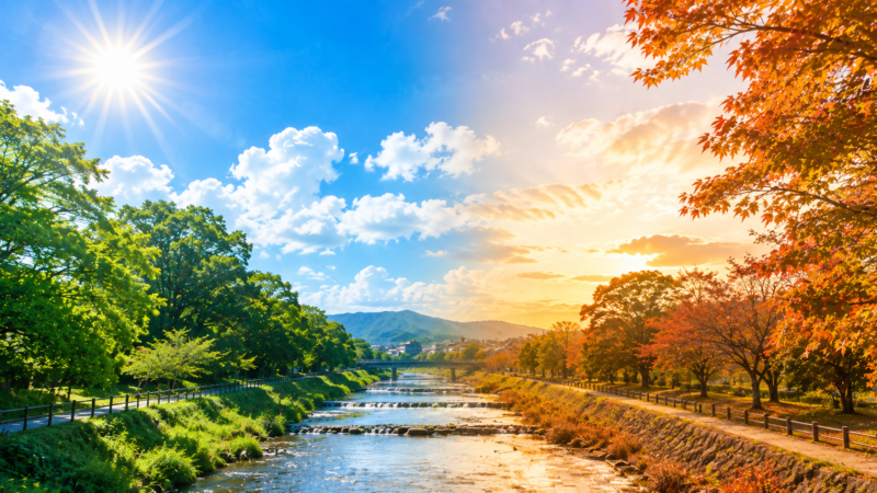 夏から秋へ移り変わる日本の川辺の風景